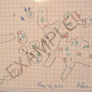 Base Dungeons and Dragons Map